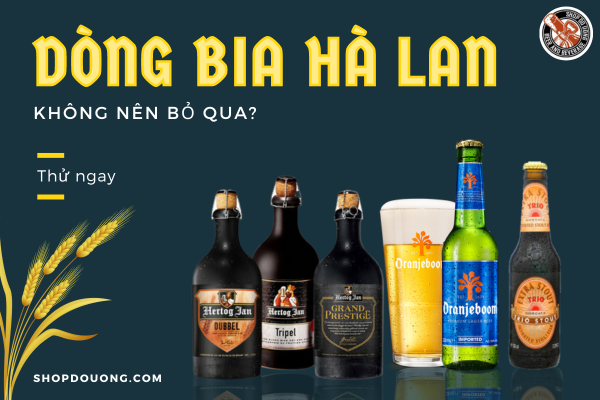 Đâu là dòng bia Hà Lan được yêu thích nhất?