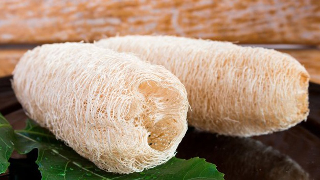 7 mẹo làm sạch bình đun siêu tốc nhanh chóng, hiệu quả