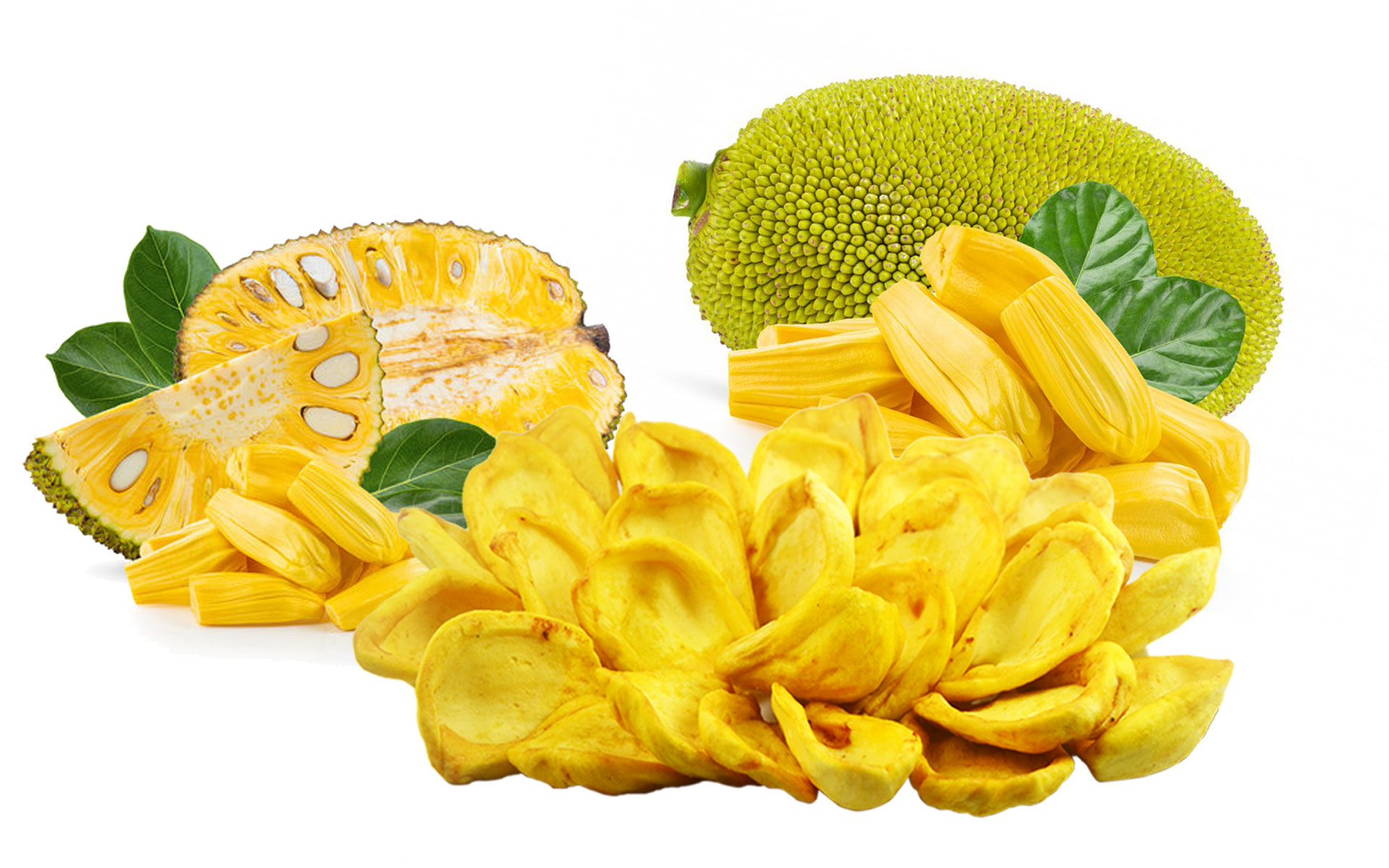 Vận Chuyển Mít Sấy Từ Bến Tre Đi Ninh Thuận
