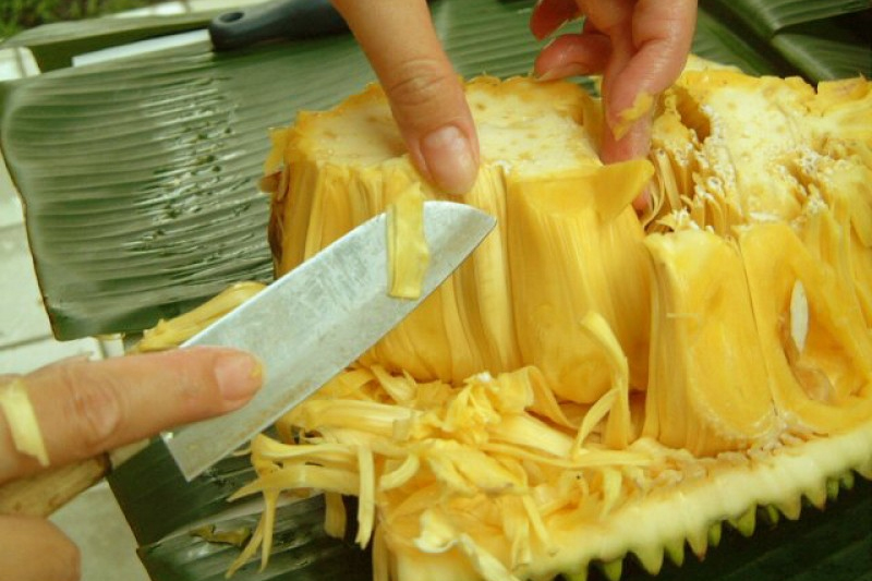 Làm mít sấy ngon, giòn rụm bằng lò nướng cực đơn giản