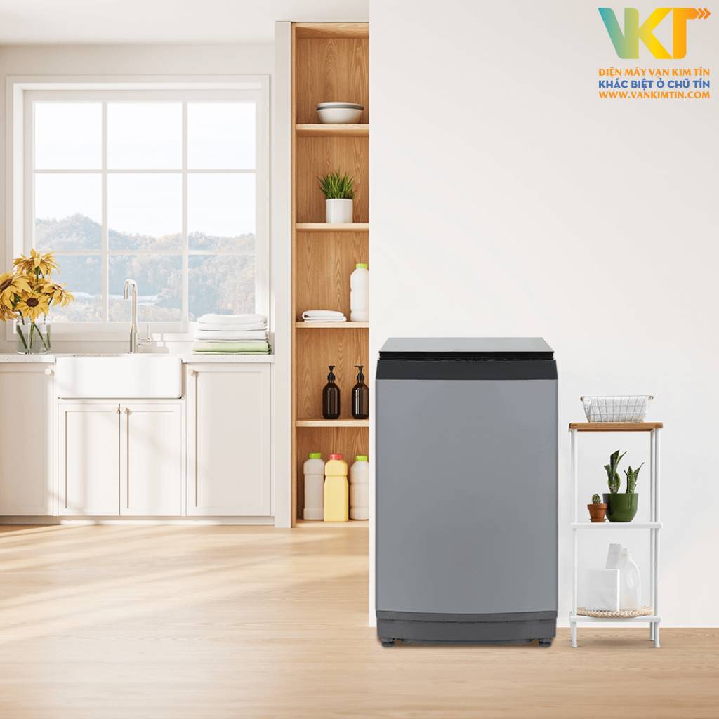 Máy giặt Toshiba Inverter 15 kg AW-DUM1600LV(SG) - Giới thiệu