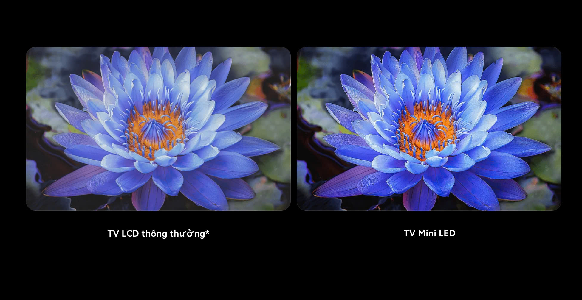 Google Tivi Xiaomi S75 Mini LED 75 inch L75MA-SPLEA QD-Mini LED