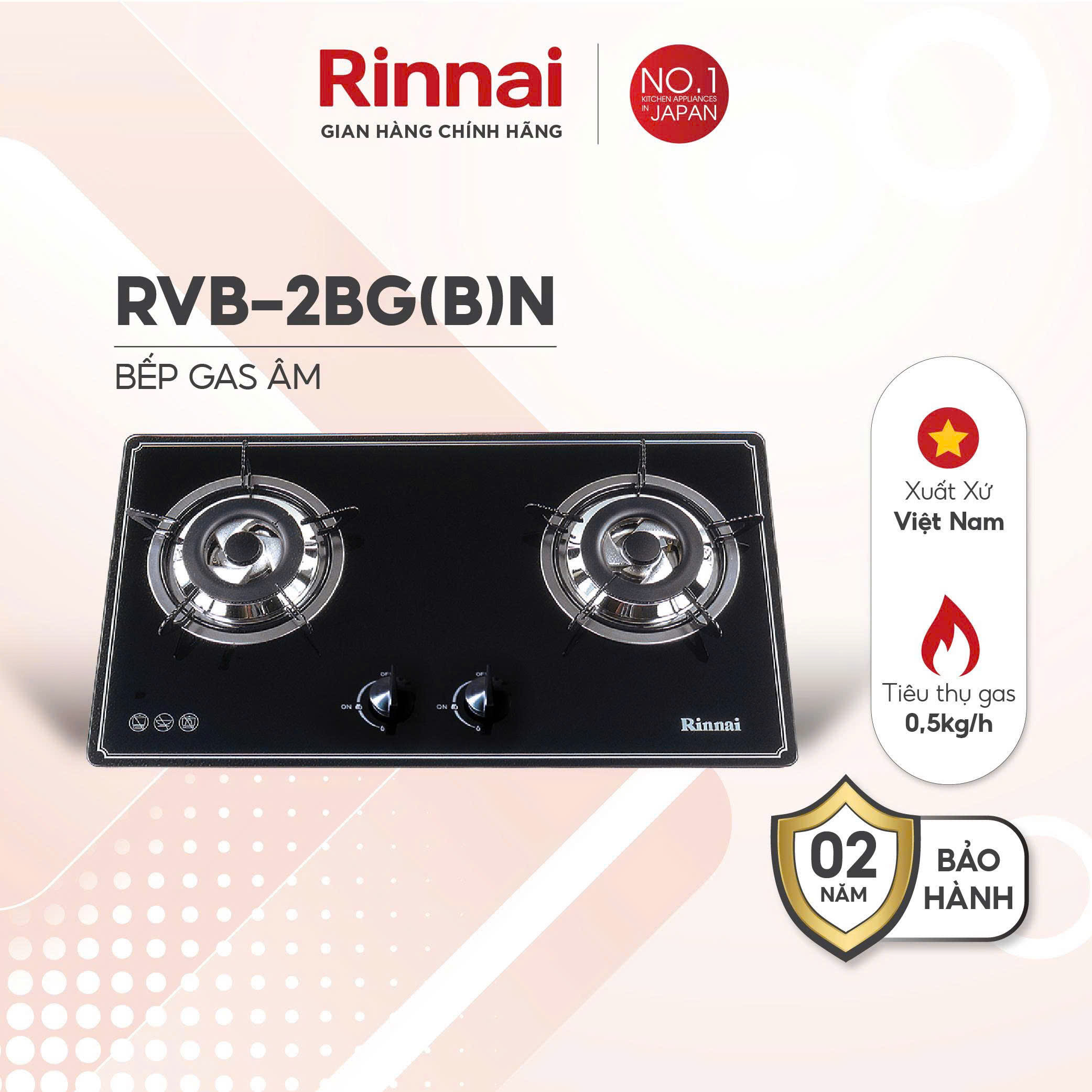 Bếp gas âm Rinnai RVB-2BG(B)N