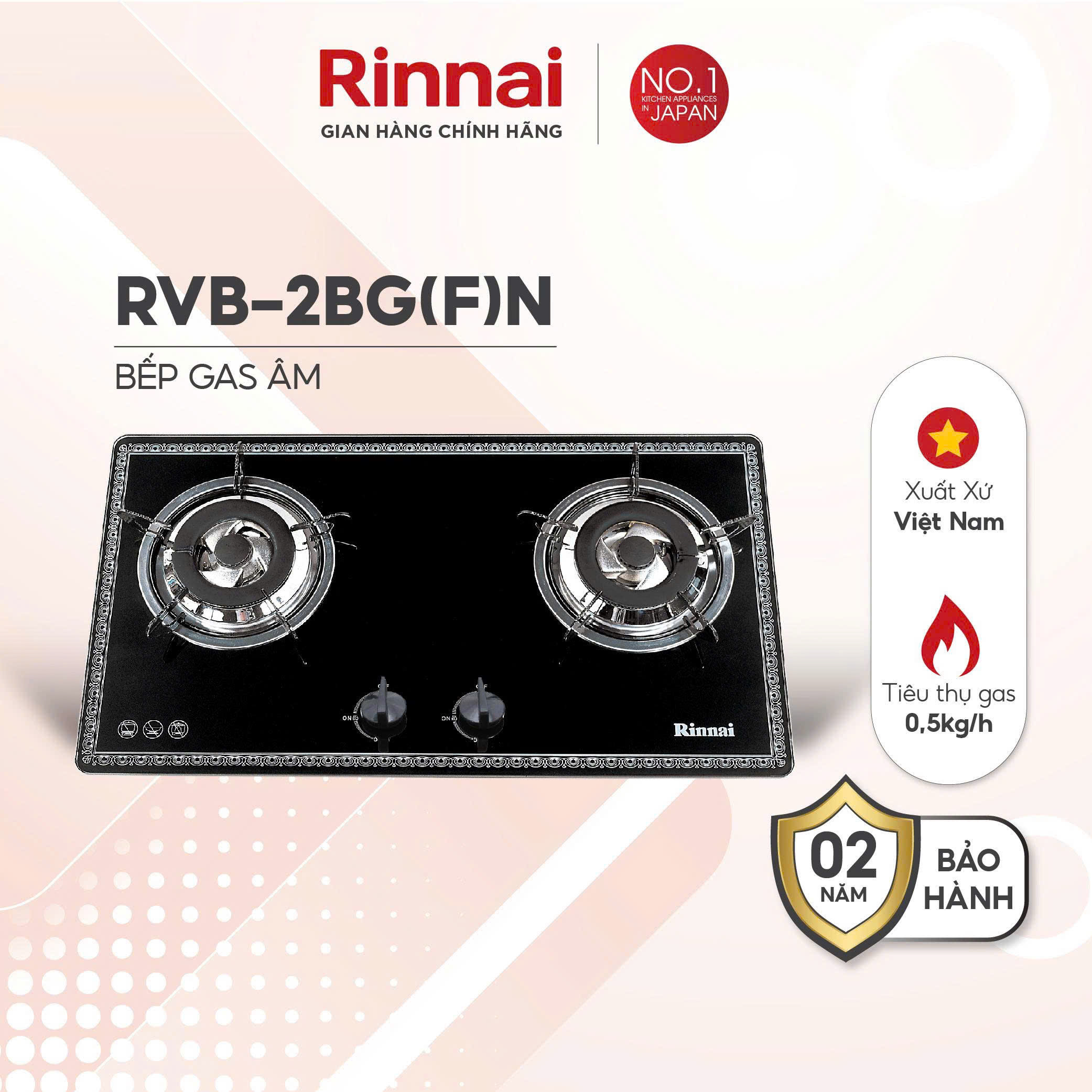 Bếp gas âm Rinnai RVB-2BG(F)N