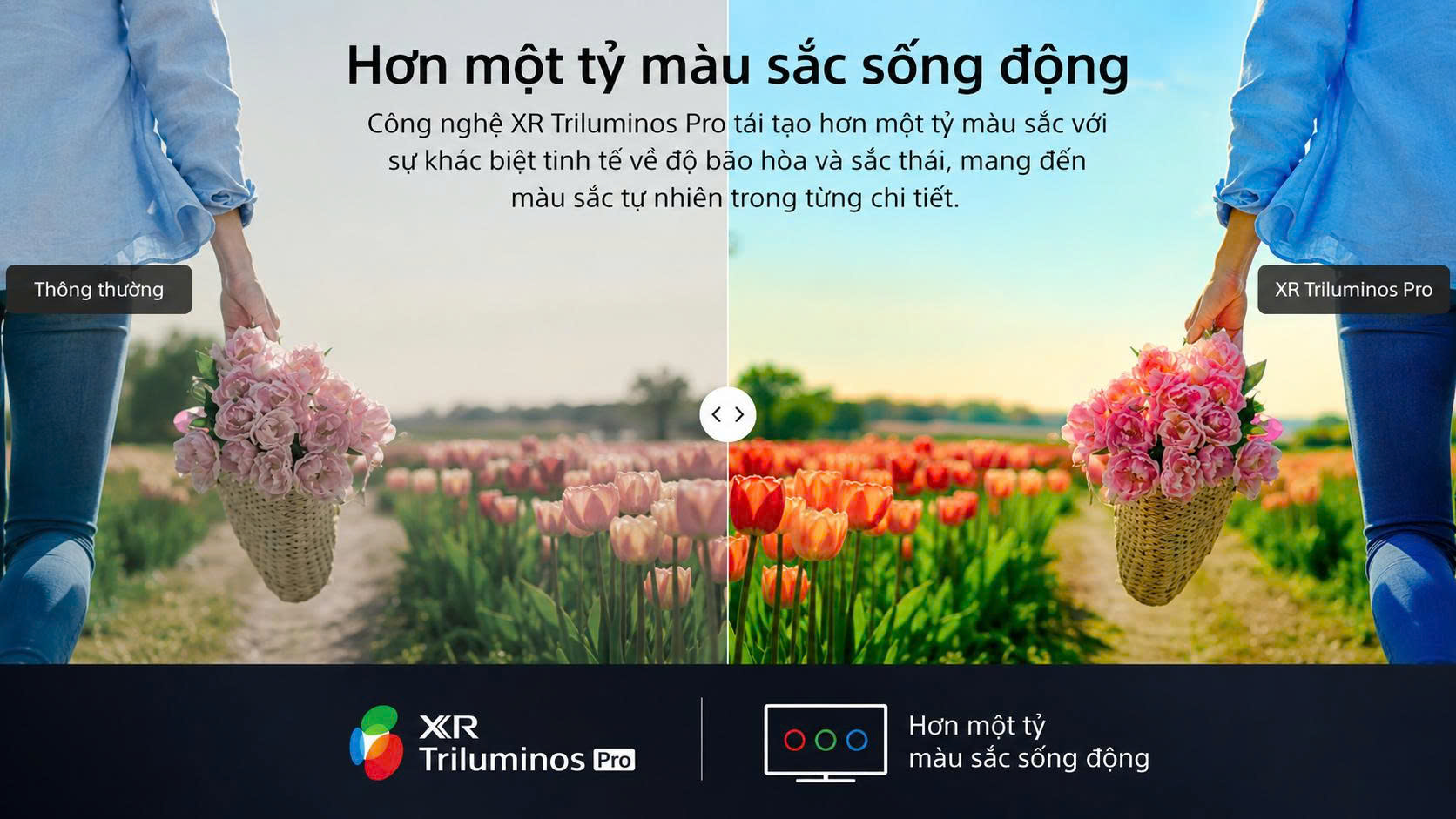 XR Triluminos Pro
