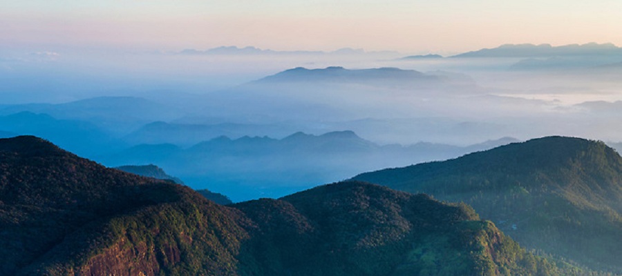 Sri Lanka có diện tích 65 nghìn km