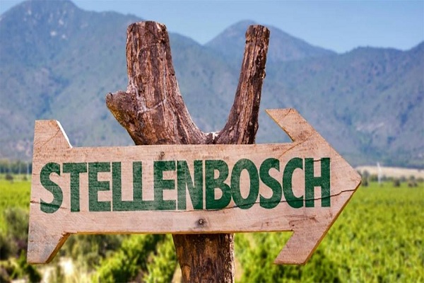 NGÀY 6: CAPETOWN – VÙNG RƯỢU VANG STELLENBOSCH