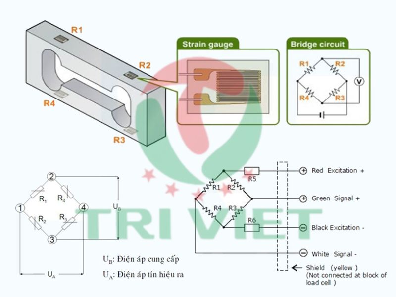 Sơ đồ nguyên lý hoạt động của Loadcell 