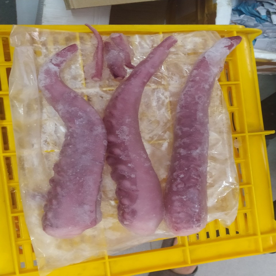 Râu bạch tuộc Net 6