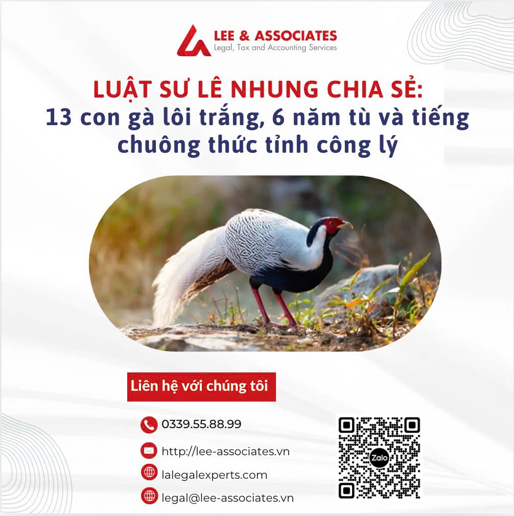 LUẬT SƯ NHUNG CHIA SẺ QUAN ĐIỂM VỀ VẤN ĐỀ: 