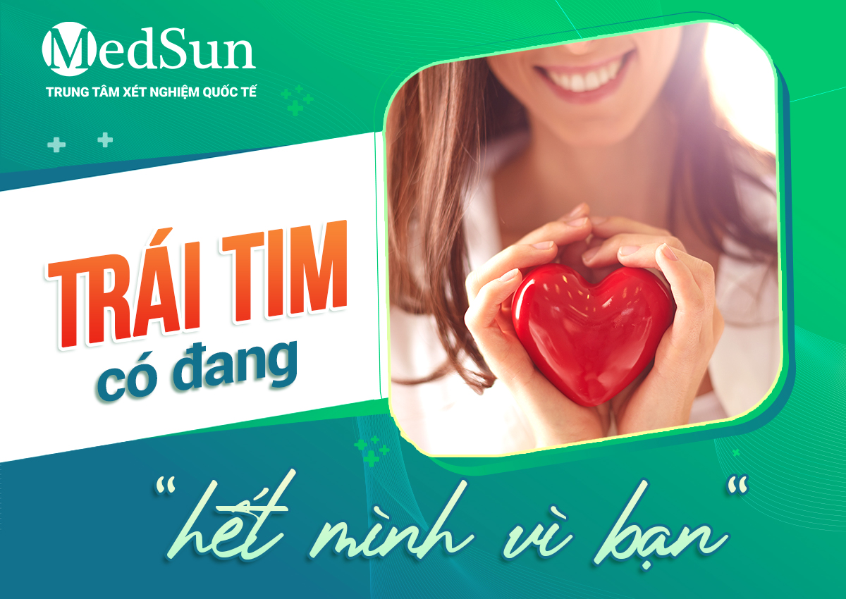 Sự Thật Thú Vị Về Trái Tim – Bạn Đã Biết Chưa?