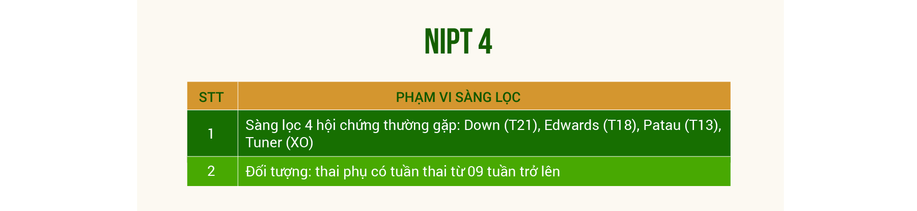 Ảnh đầu