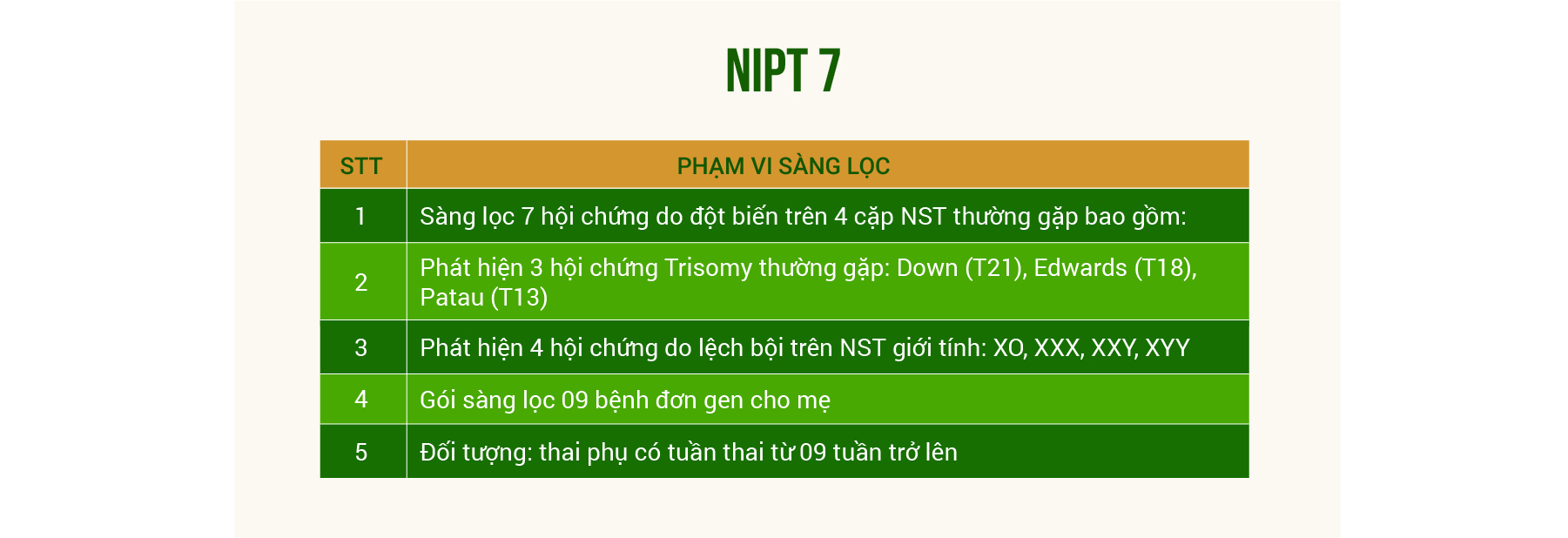 Ảnh đầu