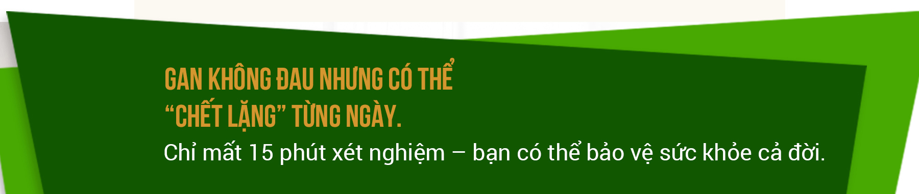Ảnh 5