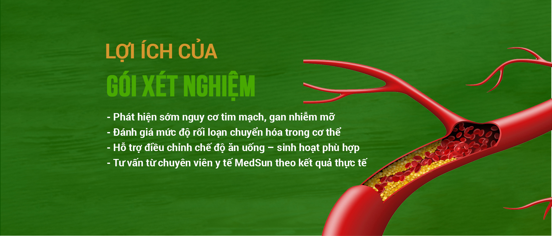 Ảnh 4