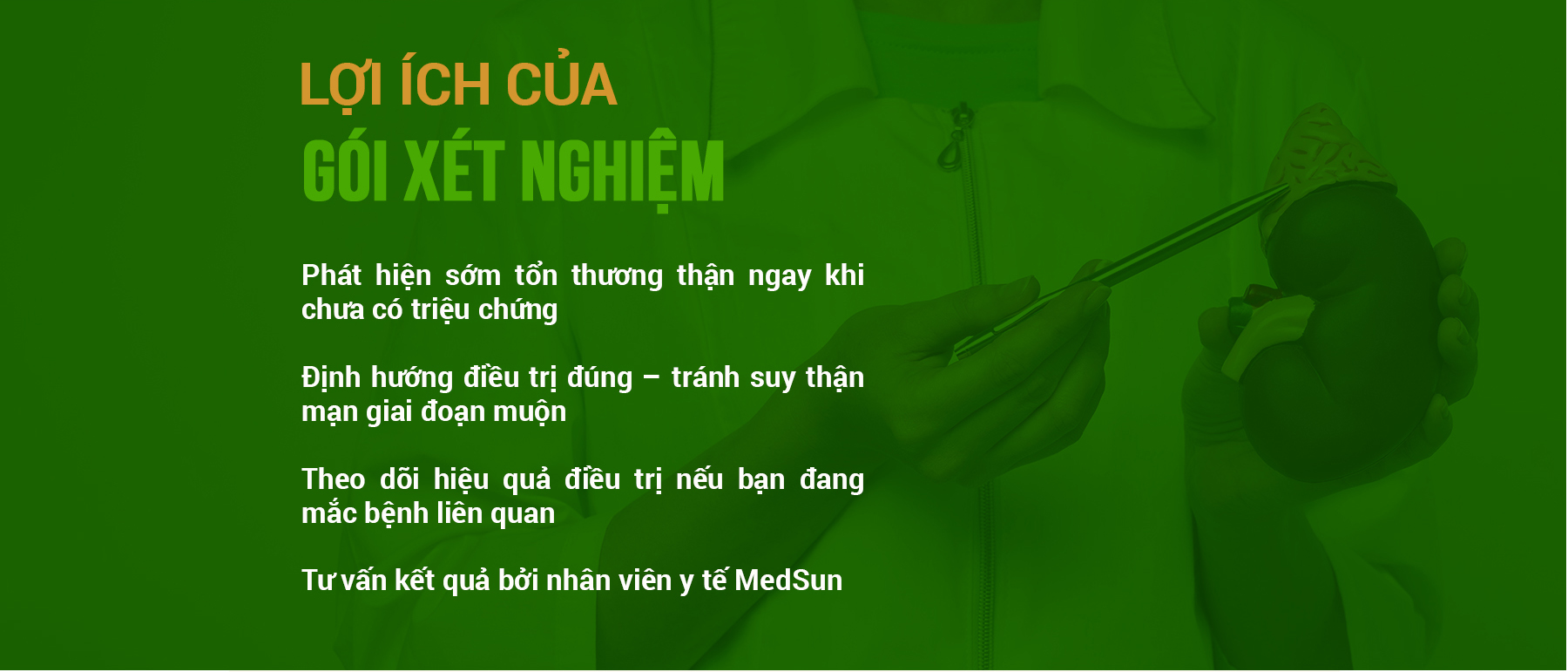 Ảnh 5