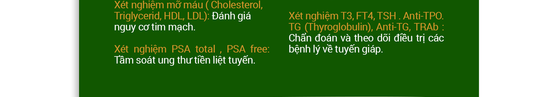 Ảnh 3