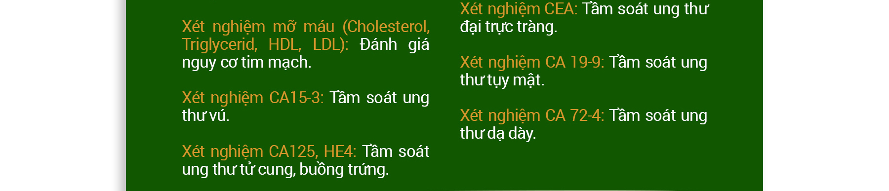 Ảnh 4