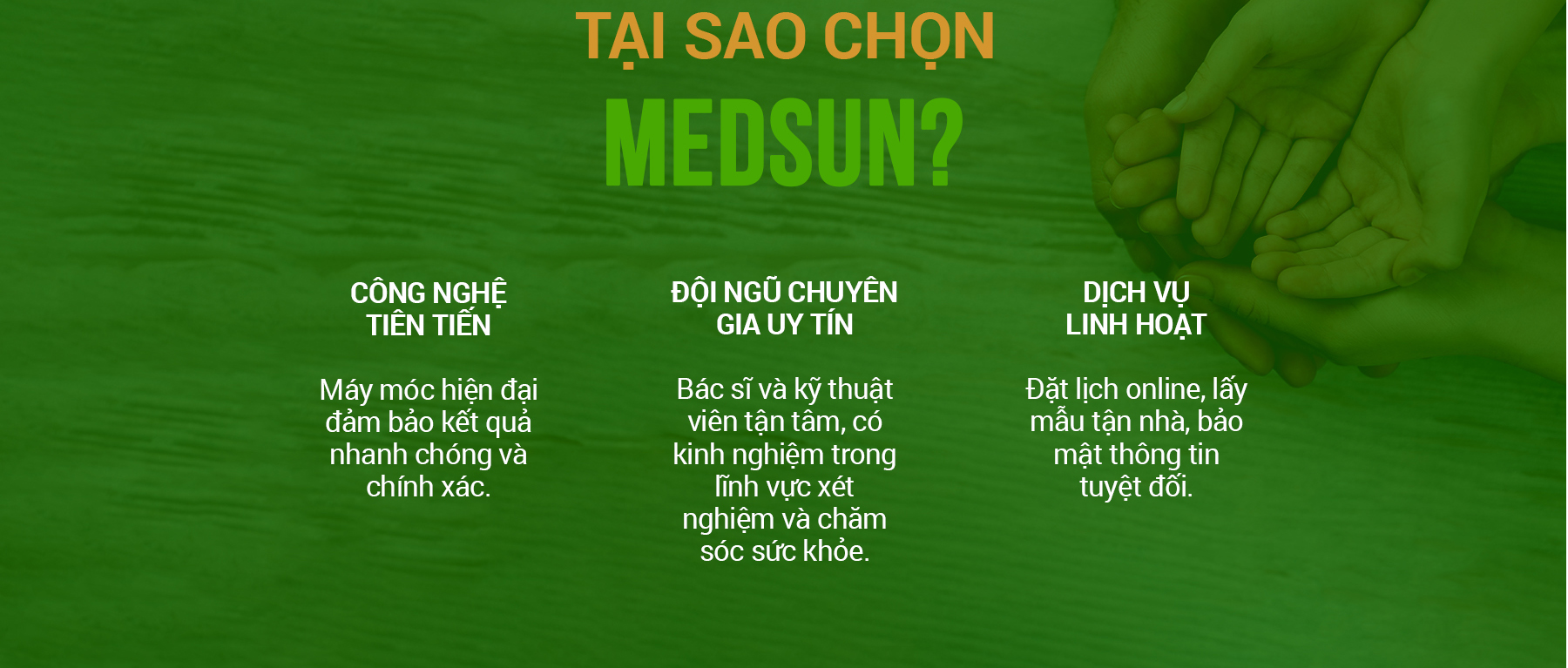Ảnh 5