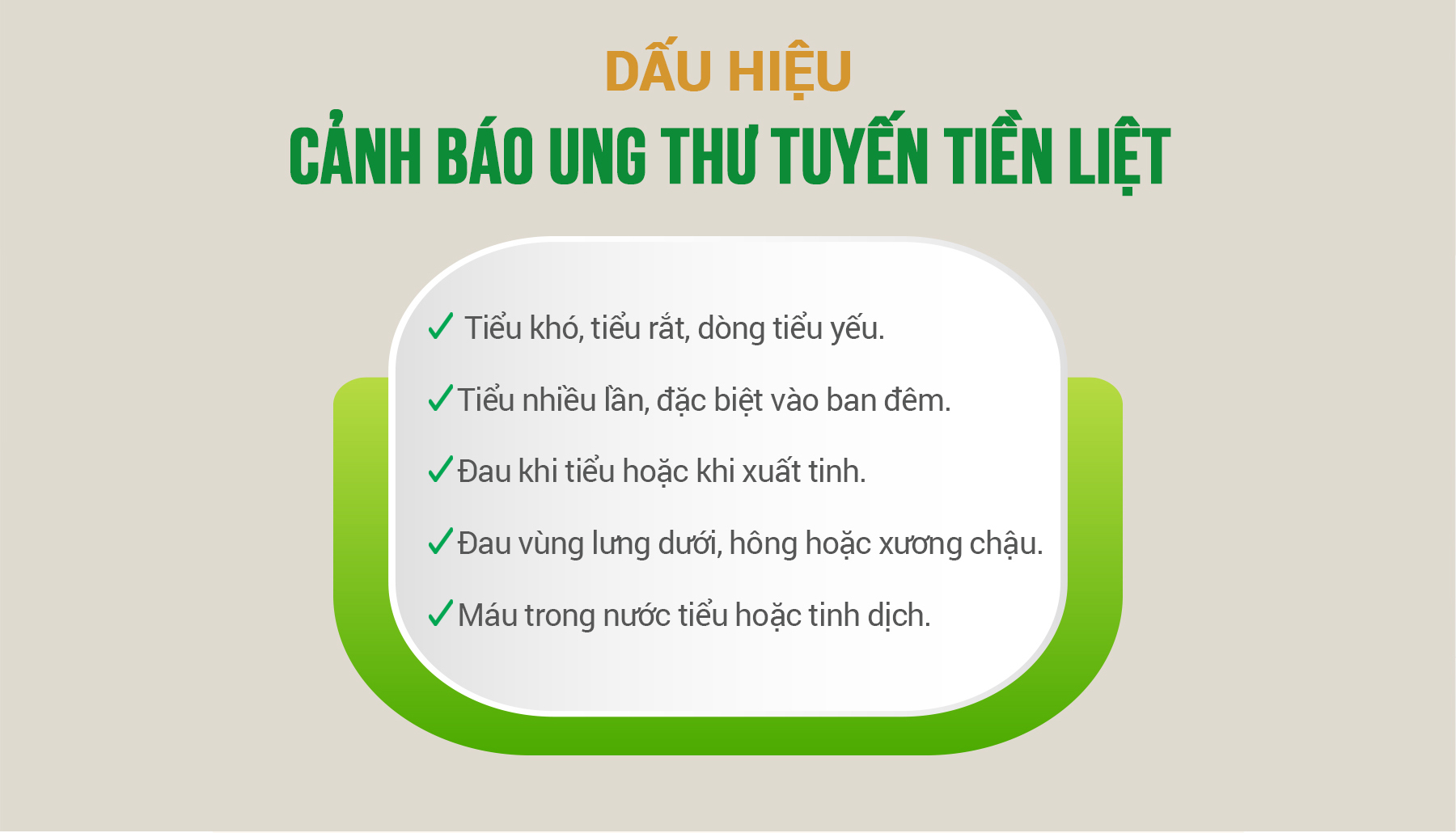 Ảnh 2