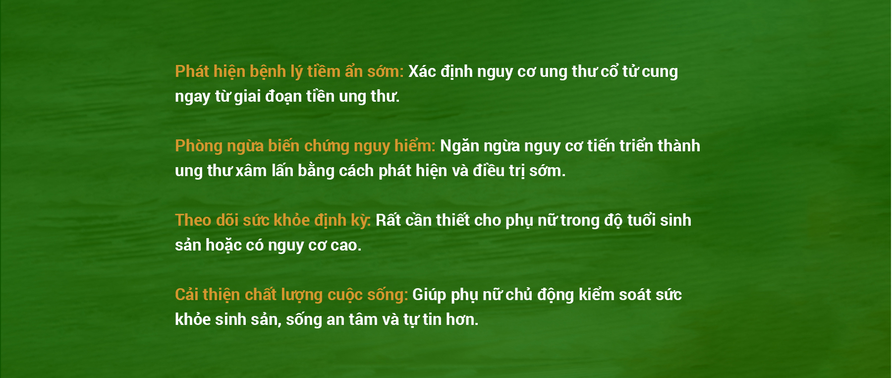 Ảnh 5