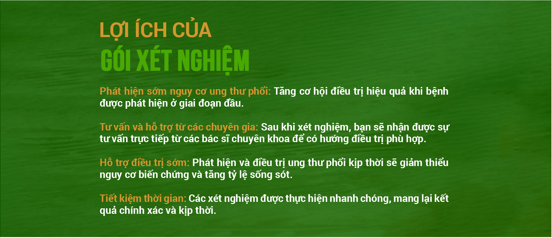 Ảnh 4