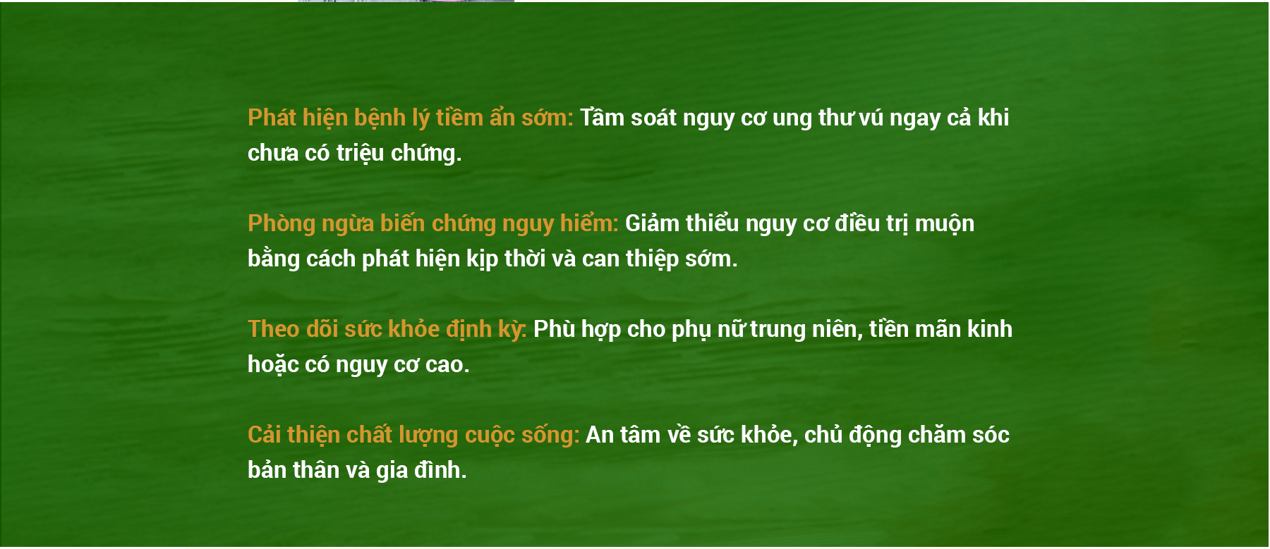 Ảnh 5