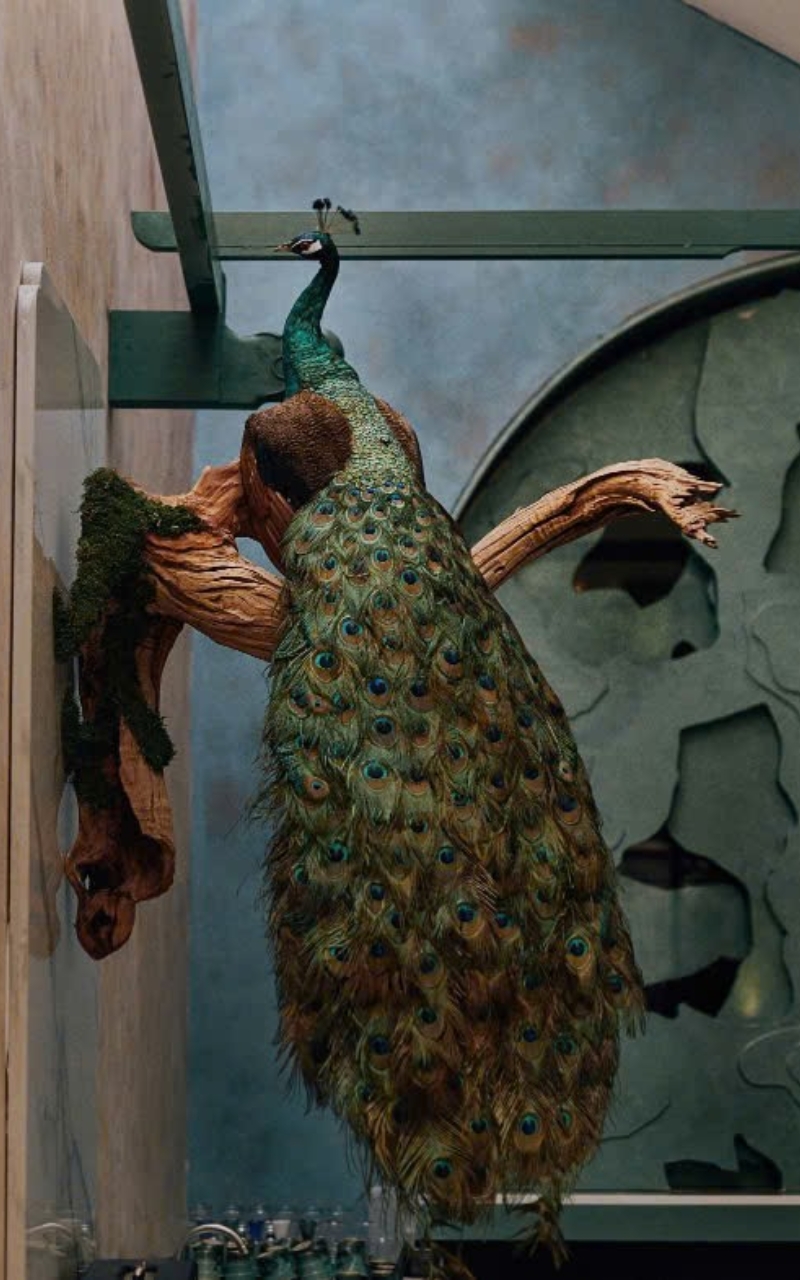 Nhà hàng Mãn by UnicB