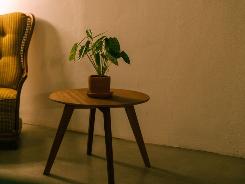Vữa đất rất lý tưởng cho phong cách Wabi-sabi và Biophilic Design (Ảnh sưu tầm)