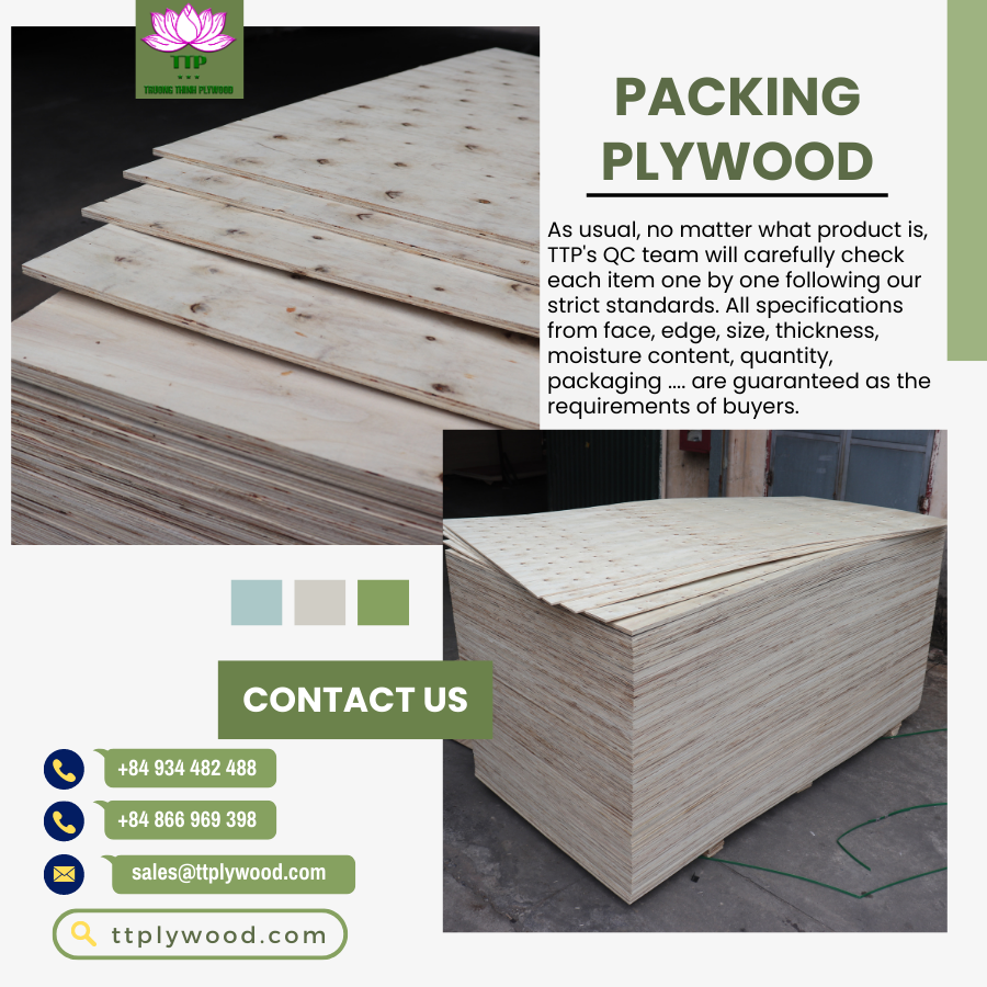 VietNamese Packing Plywood Specipacation