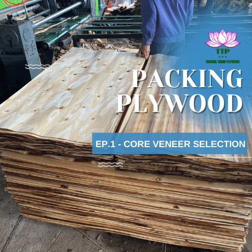 PACKING PLYWOOD - EP.1 - CORE VENEER SELECTION