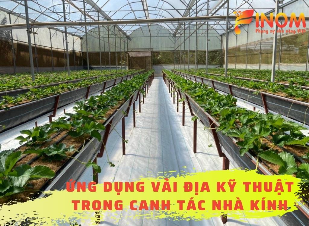 ỨNG DỤNG VẢI ĐỊA KỸ THUẬT TRONG CANH TÁC NHÀ KÍNH