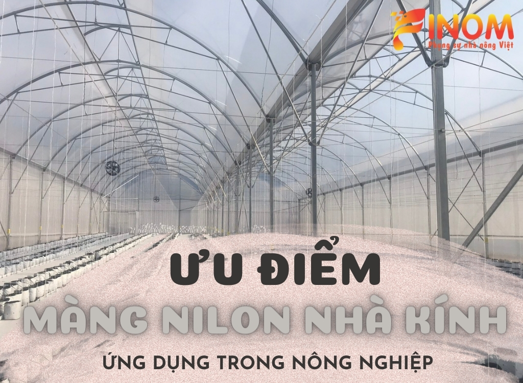 ƯU ĐIỂM CỦA MÀNG NILON NHÀ KÍNH ỨNG DỤNG TRONG NÔNG NGHIỆP