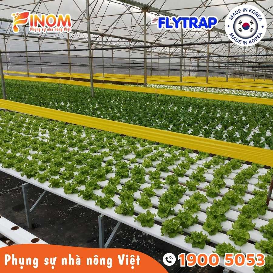 DỤNG CỤ TRỒNG TRỌT