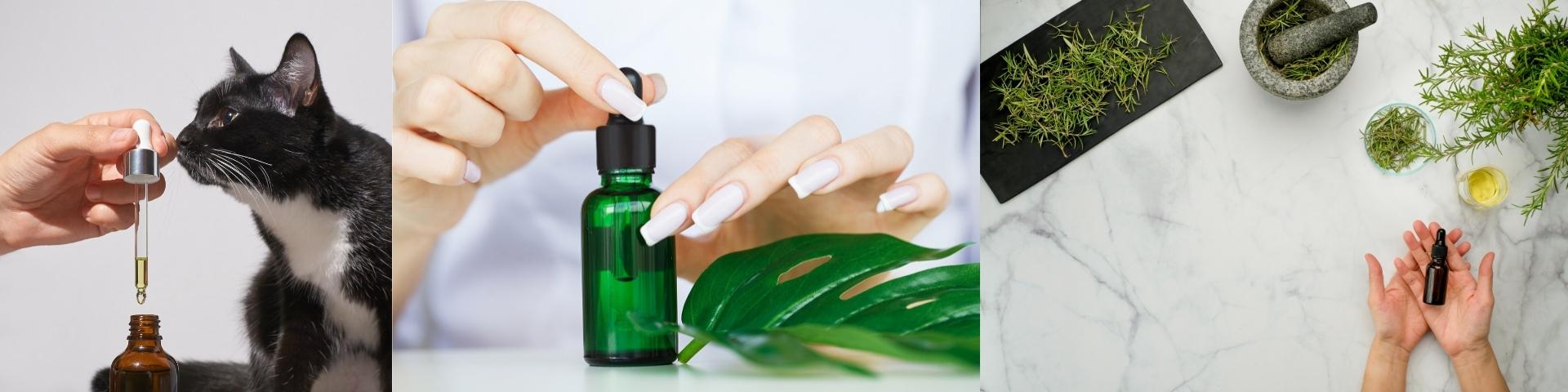 MỘT LỌ TINH DẦU SỬ DỤNG ĐƯỢC BAO LÂU?