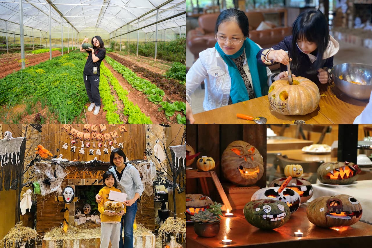 Trải nghiệm Halloween giữa rừng thu Lat Valley Retreat Village