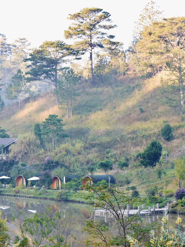 Đồi thông và thung lũng Lat Valley
