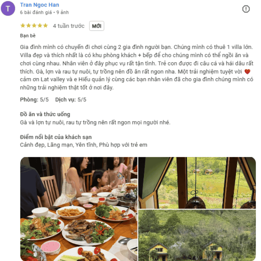 Review 5