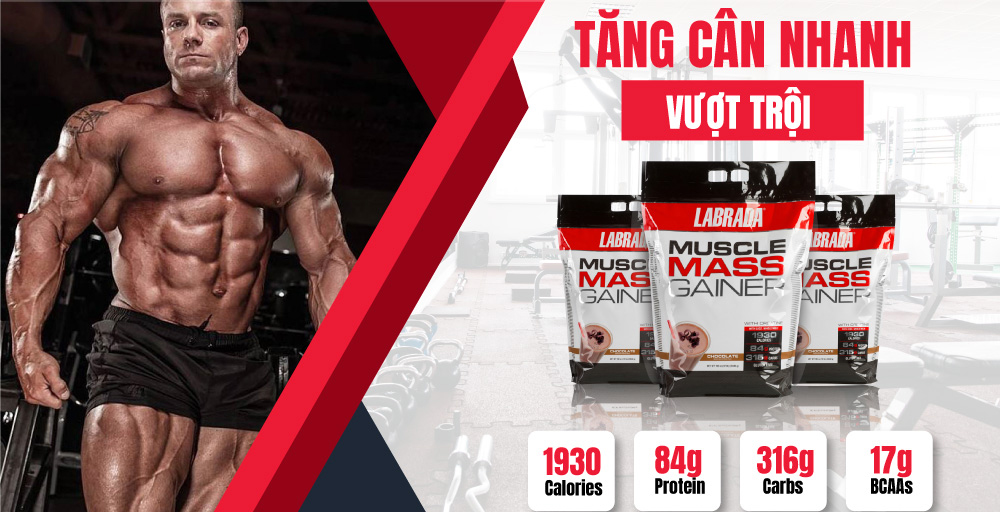 Sữa Tăng Cân Mass Gainer là gì?