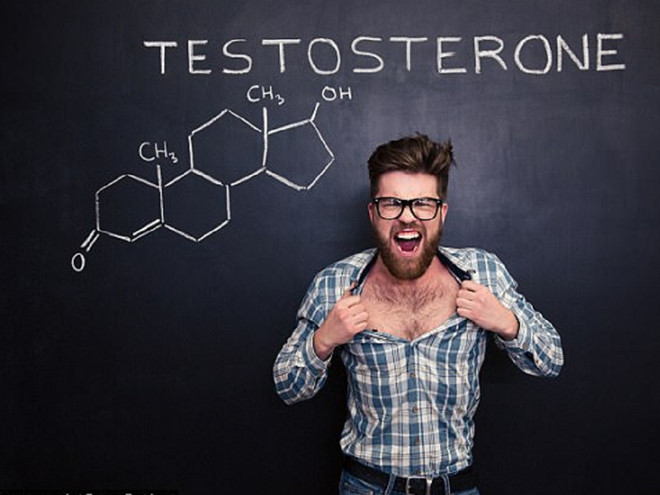 Testosterone là gì ? Lợi ích đối với cơ bắp Testosterone là gì ?