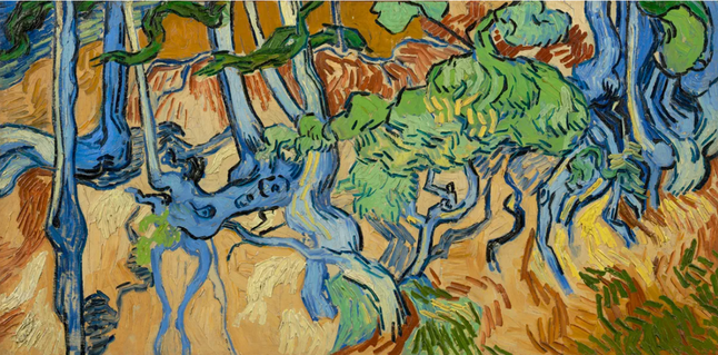 Những nỗi ám ảnh cuối cùng Van Gogh và triển lãm nghệ thuật tại Musée d'Orsay (Phần 3)