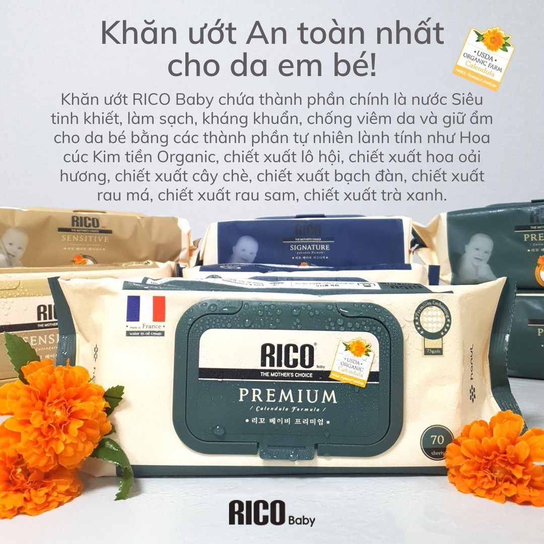 Khăn ướt Rico Baby