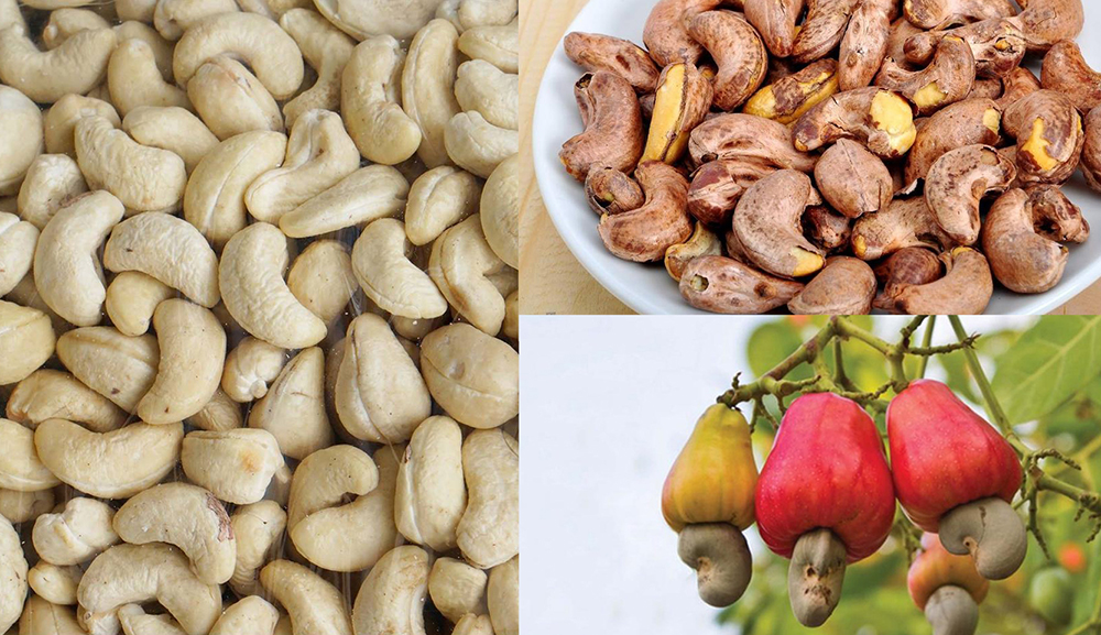 Những sai lầm thường gặp trong bảo quản và chế biến hạt điều