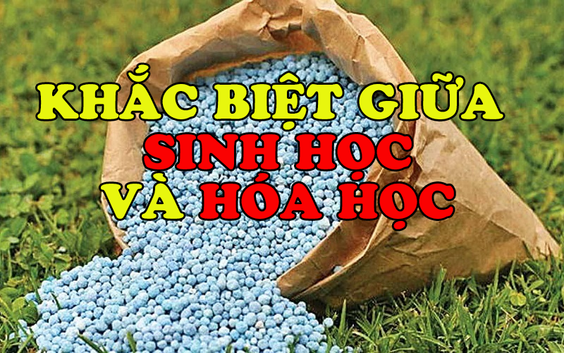 SỰ KHÁC BIỆT GIỮA CHẾ PHẨM SINH HỌC VÀ THUỐC BẢO VỆ THỰC VẬT HÓA HỌC