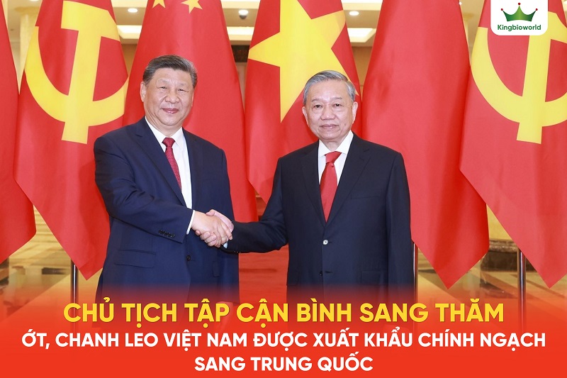 Ớt, chanh leo, tổ yến Việt được phép xuất khẩu chính ngạch sang Trung Quốc