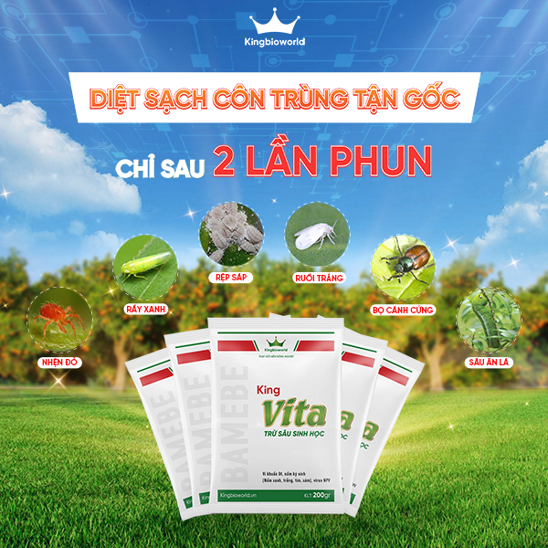 King Vita - Diệt côn trùng sinh học, cắt đứt vòng đời của côn trùng gây hại