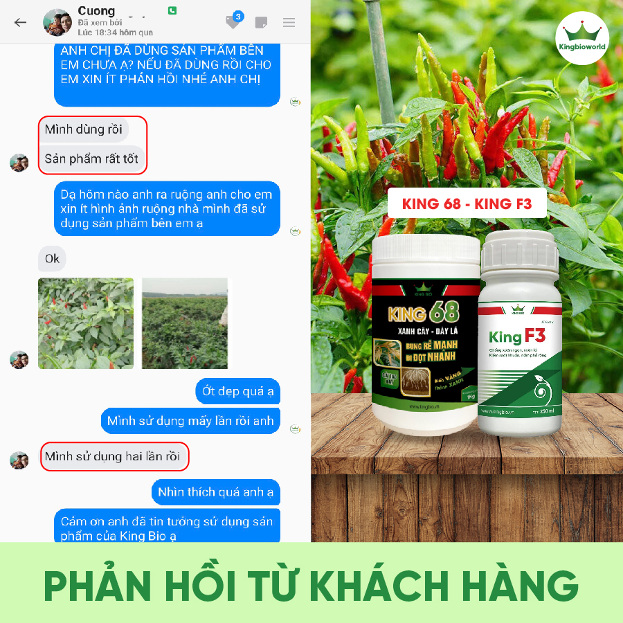 Combo Trị Xoăn Ngọn, Xoăn Đọt, Khảm Lá, Sượng Trái, Phục Hồi Cây Bệnh