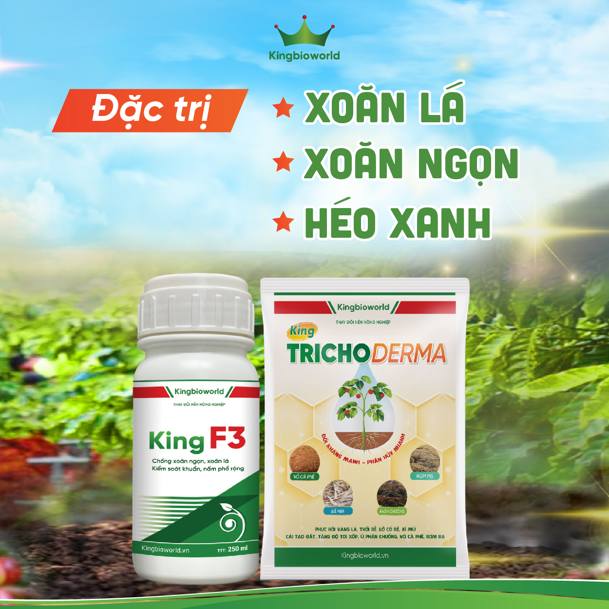 Combo Đặc Trị Xoăn Lá, Xoăn Ngọn, Héo Xanh: King F3 - King Trichoderma Combo Đặc Trị Xoăn Lá, Xoăn Ngọn, Héo Xanh: King F3 - King Trichoderma