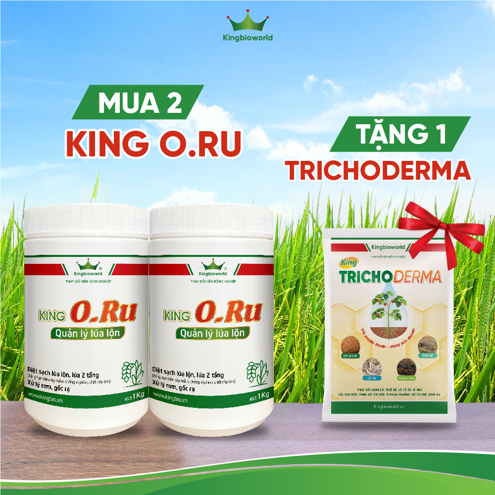 King O.Ru - Xử lý lúa lộn, lúa ma, lúa hai tầng, hạt cỏ. King O.Ru - Xử lý lúa lộn, lúa ma, lúa hai tầng, hạt cỏ.