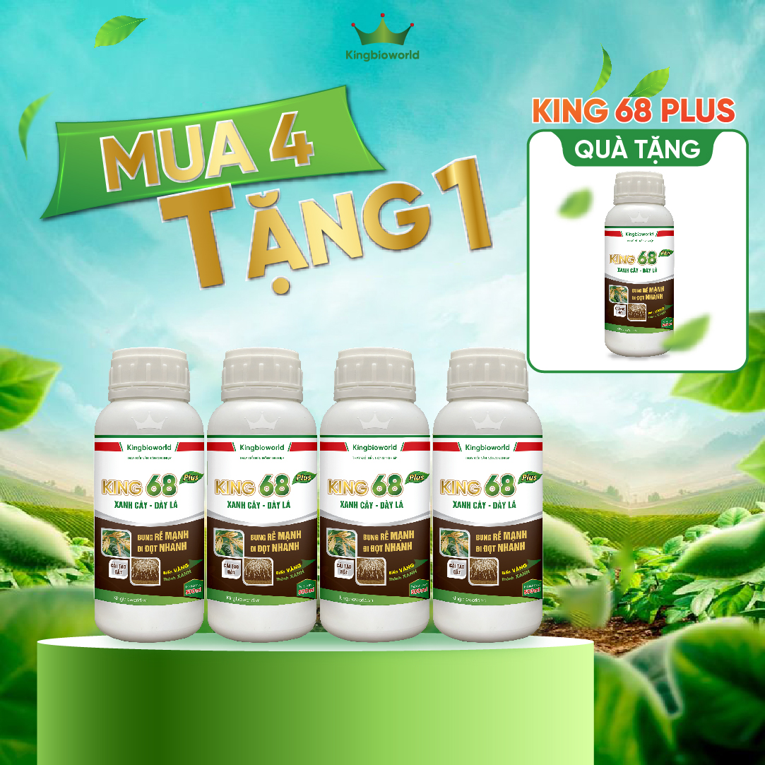 King 68 Plus - Bung rễ mạnh, bật chồi nhanh, cải tạo đất, giải độc hữu cơ King 68 Plus - Bung rễ mạnh, bật chồi nhanh, cải tạo đất, giải độc hữu cơ